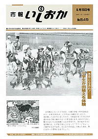 平成7年6月15日号　第545号の表紙