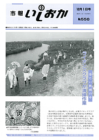 平成7年12月1日号 第556号の表紙