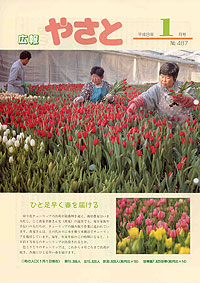 平成8年1月号 No.487の表紙