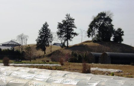画像:府中愛宕山古墳