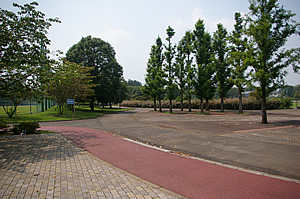 画像：石岡運動公園03