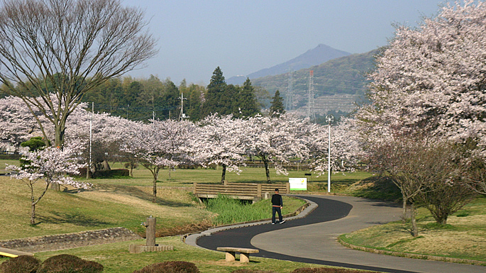 柏原池公園001