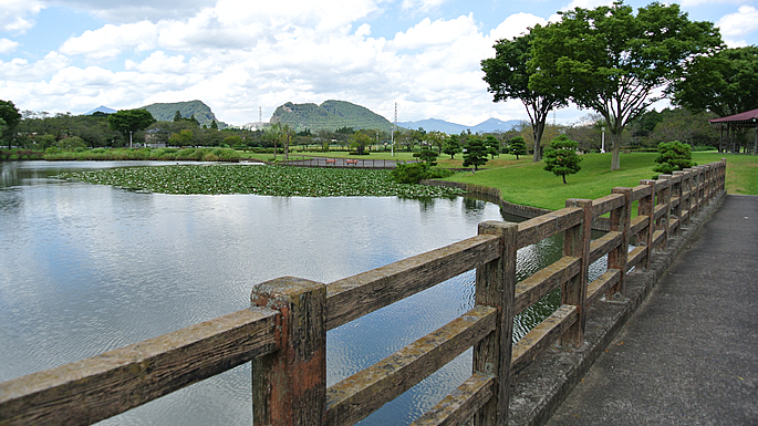 画像：柏原池公園004