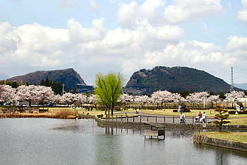 画像：柏原池公園風景01