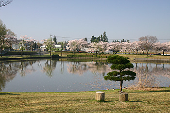 画像：柏原池公園風景02