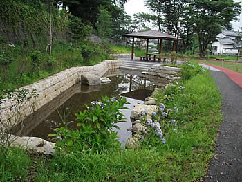 画像:上池公園02