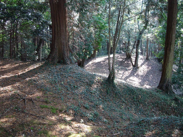 画像:丸山古墳-歴史と記憶
