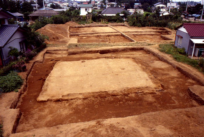 画像：茨城廃寺跡