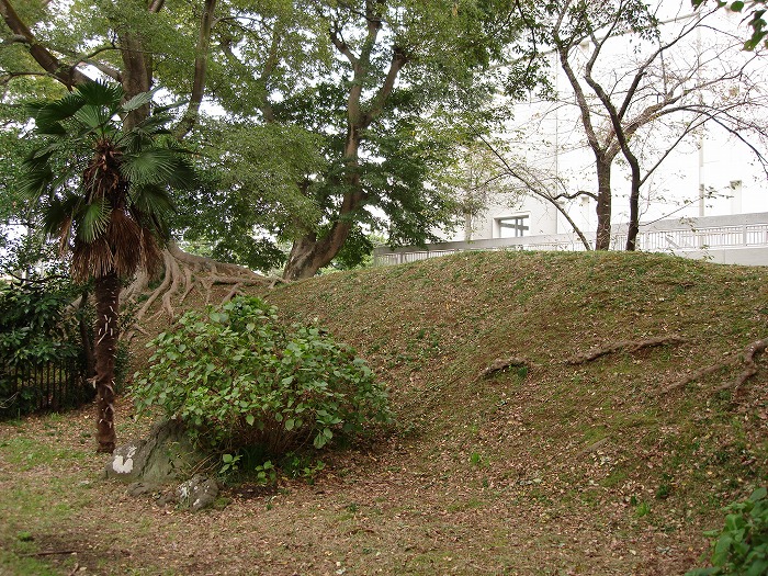 画像：府中城の土塁