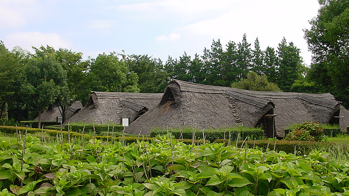 鹿の子史跡公園01