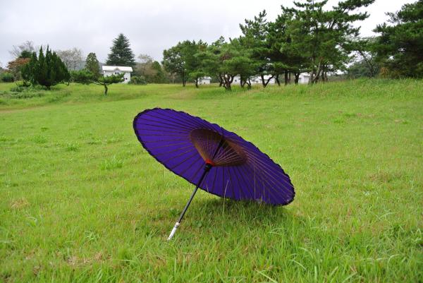 地磁気観測所番傘