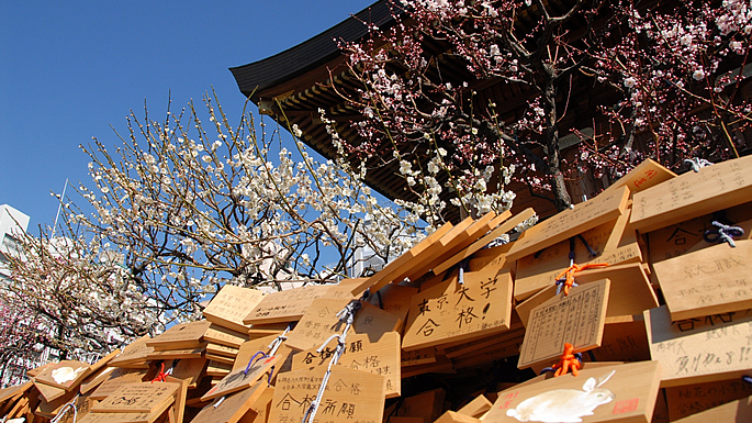 画像：文京花の五大まつり　うめまつり