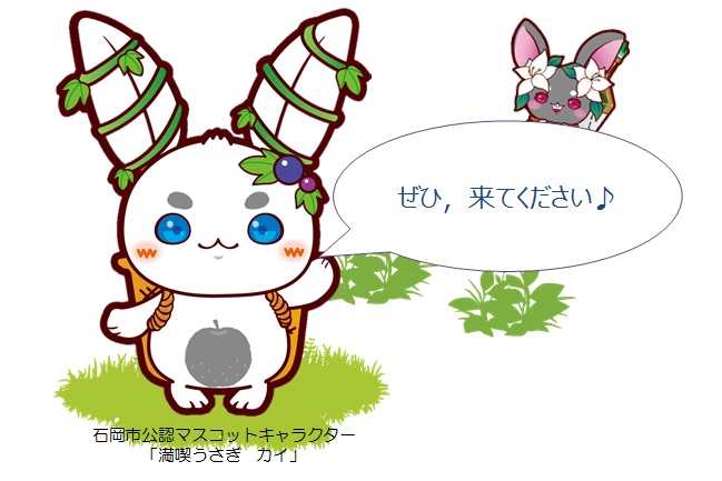 カイ・モモア画像
