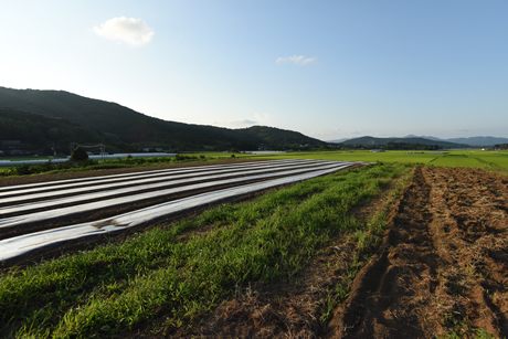 朝日里山ファームからの風景