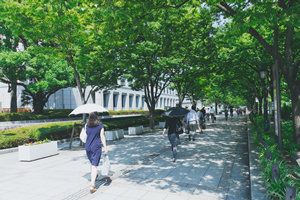 通勤通学特急券補助制度02