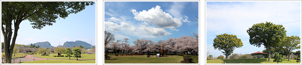 柏原池公園の画像