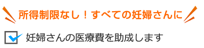 妊婦さんの医療費を助成します