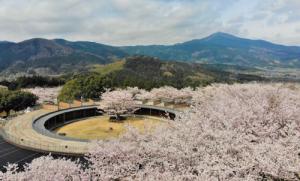 観光カード　花やさと山