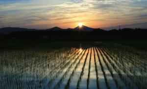 観光カード　筑波山