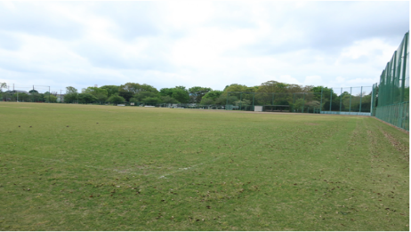 多目的広場石岡運動公園