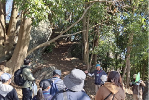波付岩