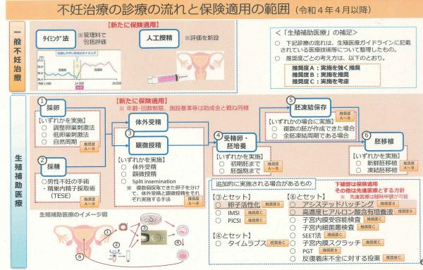 不妊治療保険適用範囲