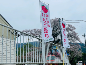 いちご祭り1