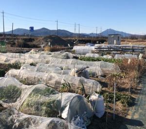 宮部ふれあい農園の風景