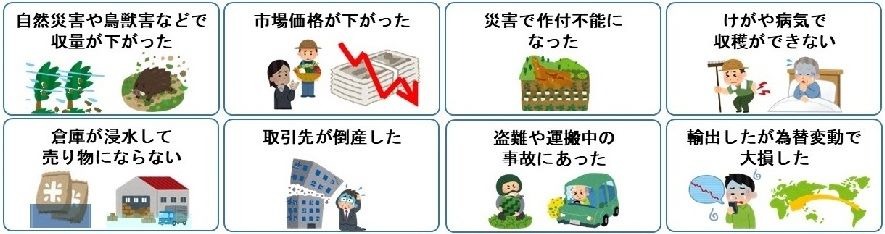 収入保険補助対象