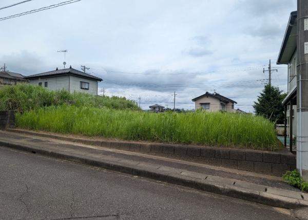 【フラワーヒル】サムネ画像