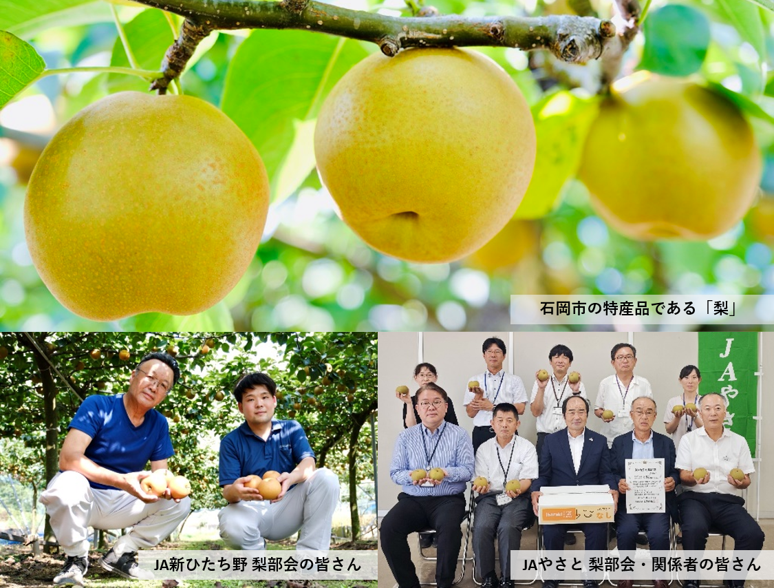梨就農