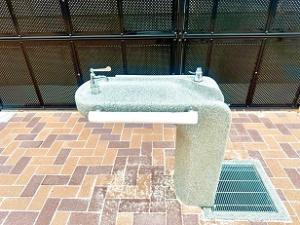 水飲み場
