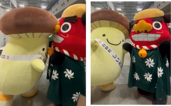 ししまるVS しいたん