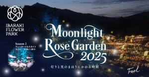 R7イルミ　バナー