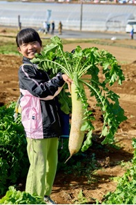 8_女の子大根採ったどー
