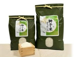 獅子米ゆうだい21