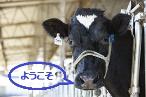 石岡暮らし体験3