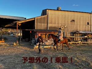 石岡暮らし体験15