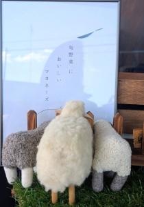 和知さん_後編用スタッフ