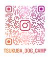 Camp