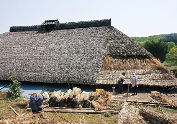 茅葺屋根の修理